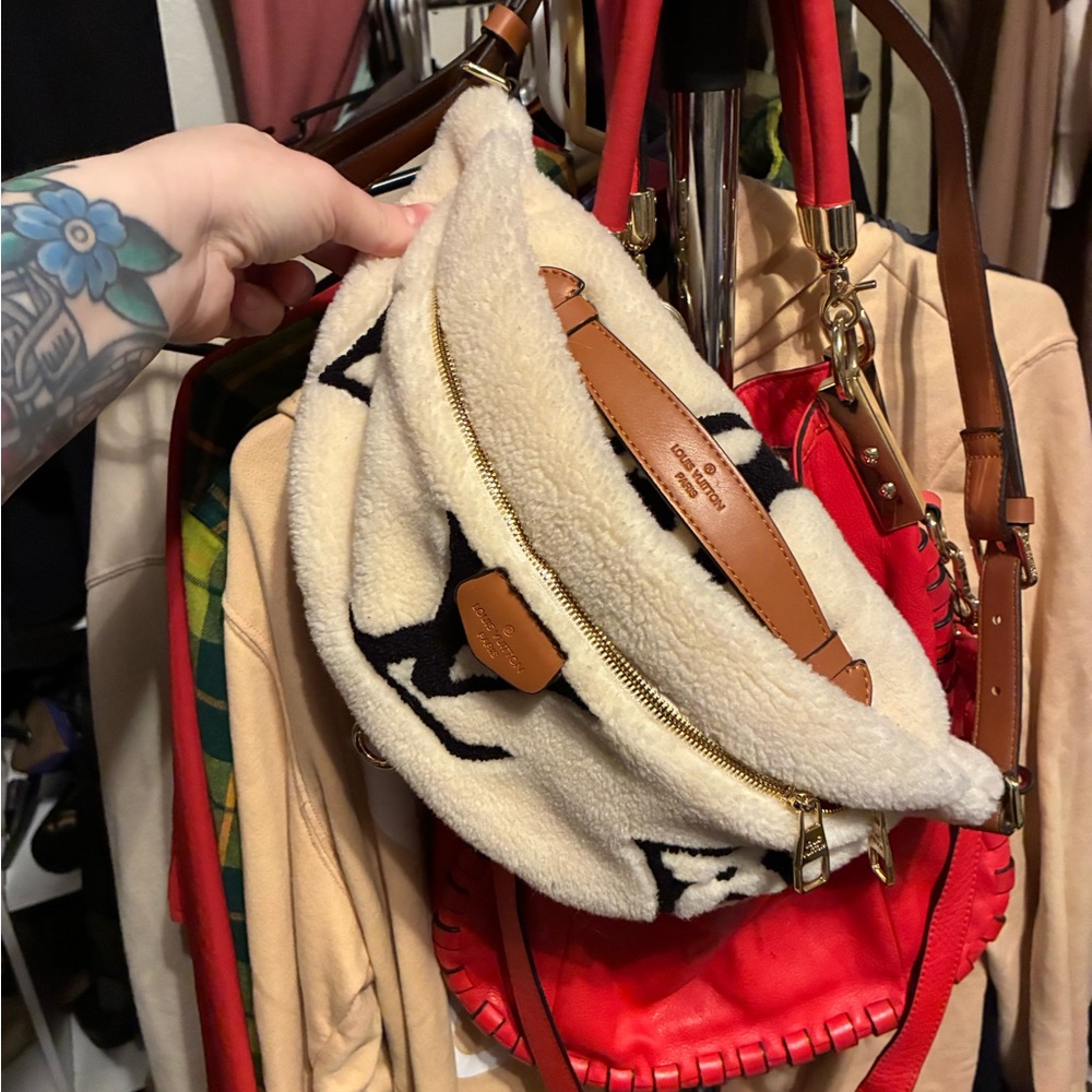 Louis Vuitton Monogram Teddy Bumbag - Picture 4 of 10